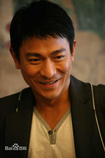 最全刘德华(Andy Lau，Lau Tak Wah)精彩图册