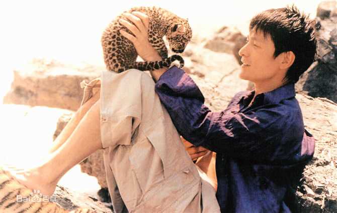 最全刘德华(Andy Lau，Lau Tak Wah)精彩图册