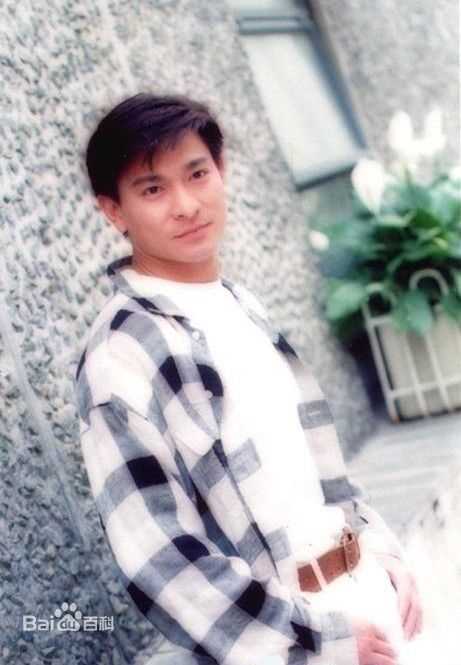 最全刘德华(Andy Lau，Lau Tak Wah)精彩图册