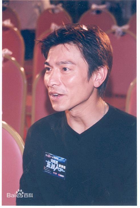 最全刘德华(Andy Lau，Lau Tak Wah)精彩图册