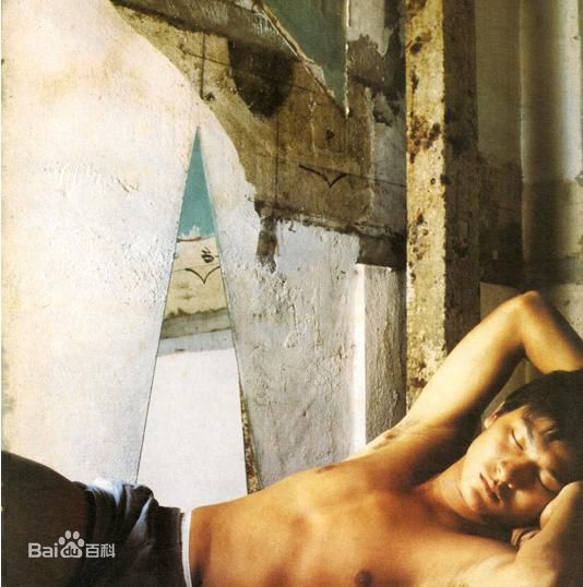 最全刘德华(Andy Lau，Lau Tak Wah)精彩图册