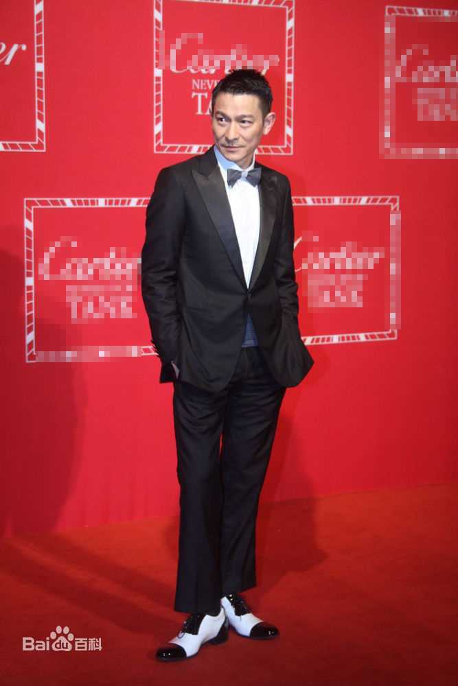 最全刘德华(Andy Lau，Lau Tak Wah)精彩图册