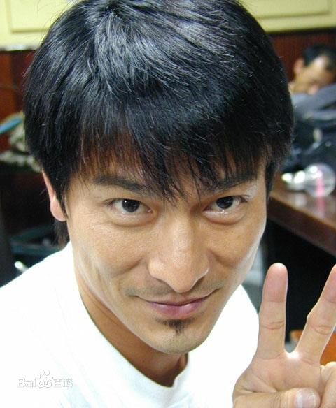 最全刘德华(Andy Lau，Lau Tak Wah)精彩图册