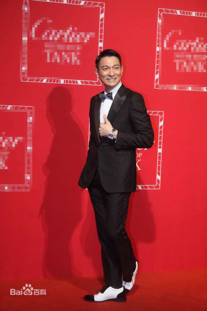 最全刘德华(Andy Lau，Lau Tak Wah)精彩图册