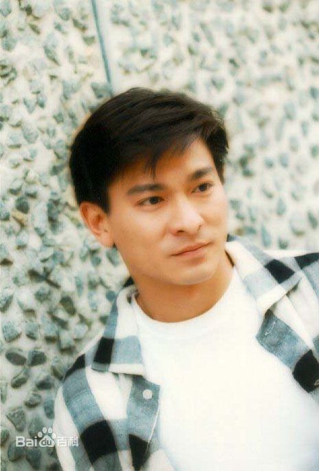 最全刘德华(Andy Lau，Lau Tak Wah)精彩图册