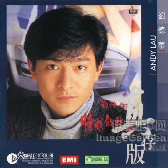 高清刘德华(Andy Lau，Lau Tak Wah)性感图片