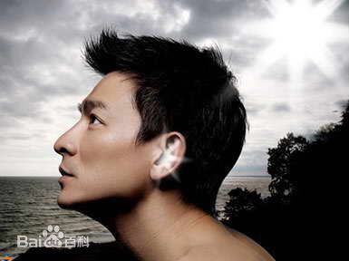 高清刘德华(Andy Lau，Lau Tak Wah)性感图片