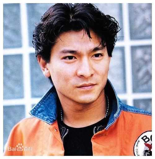 刘德华(Andy Lau，Lau Tak Wah)概述图册素颜照相册