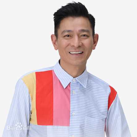 刘德华(Andy Lau，Lau Tak Wah)概述图册素颜照相册
