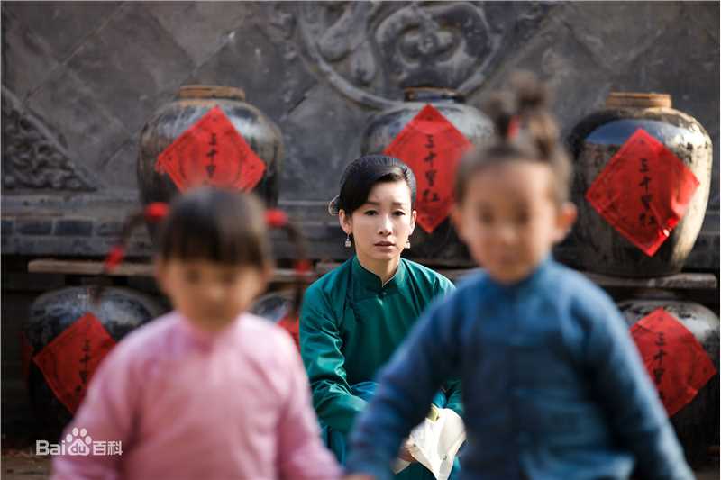 秦海璐(Amanda)红高粱图册