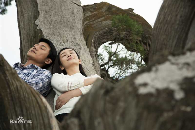 秦海璐(Amanda)假如生活欺骗了你生活照相册