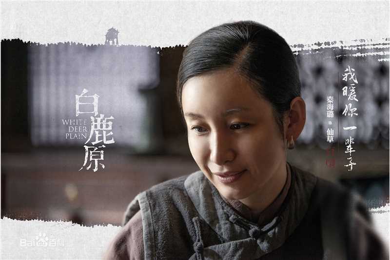 最新秦海璐(Amanda)在《白鹿原》中的壁纸