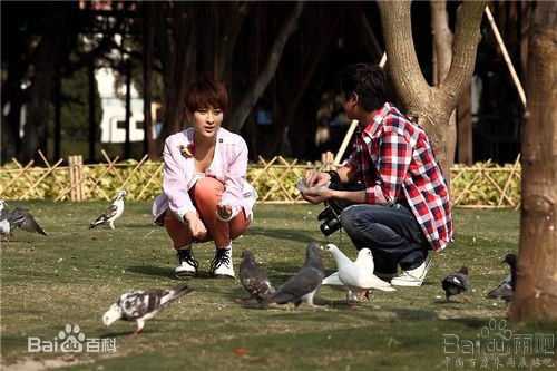 精选朱雨辰(zhuyuchen)精彩图册