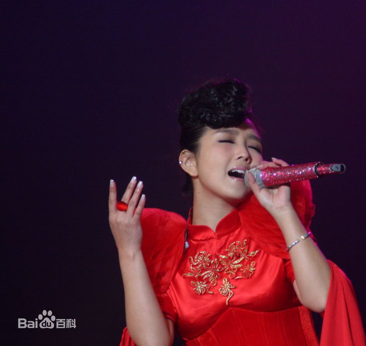 何洁(J.He)2011.1.24成都“想要回到 ”感恩音乐会性感图片图集