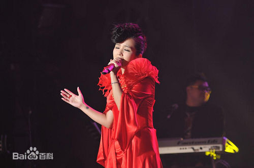 何洁(J.He)2011.1.24成都“想要回到 ”感恩音乐会性感图片图集