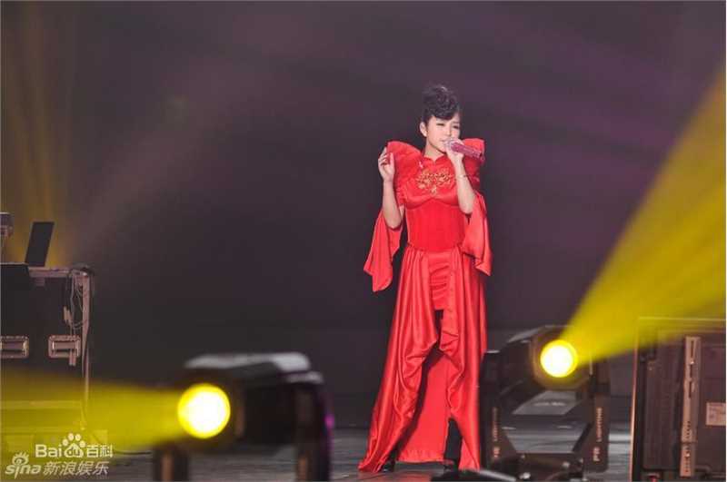 何洁(J.He)2011.1.24成都“想要回到 ”感恩音乐会性感图片图集