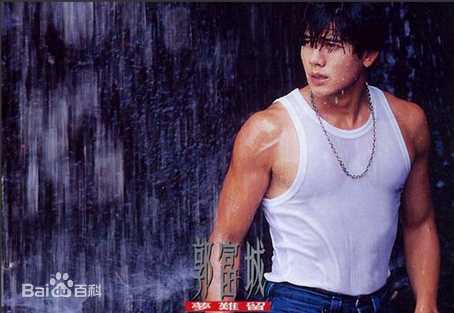 郭富城(Aaron Kwok)精选音乐专辑封面图册