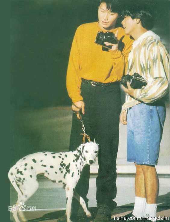 郭富城(Aaron Kwok)经典合影壁纸壁纸