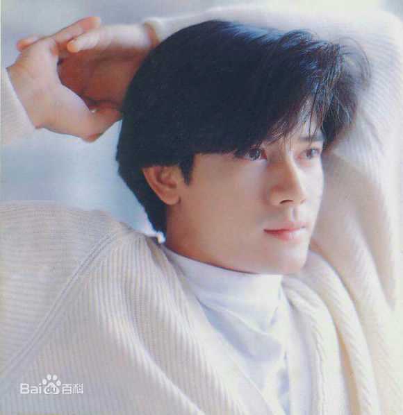 郭富城(Aaron Kwok)完美图册