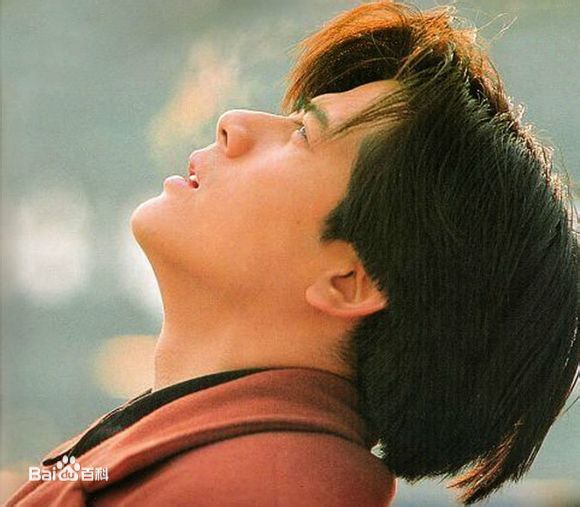 郭富城(Aaron Kwok)百变发型图片图册