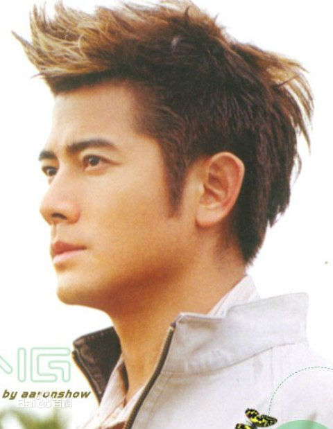郭富城(Aaron Kwok)百变发型图片图册