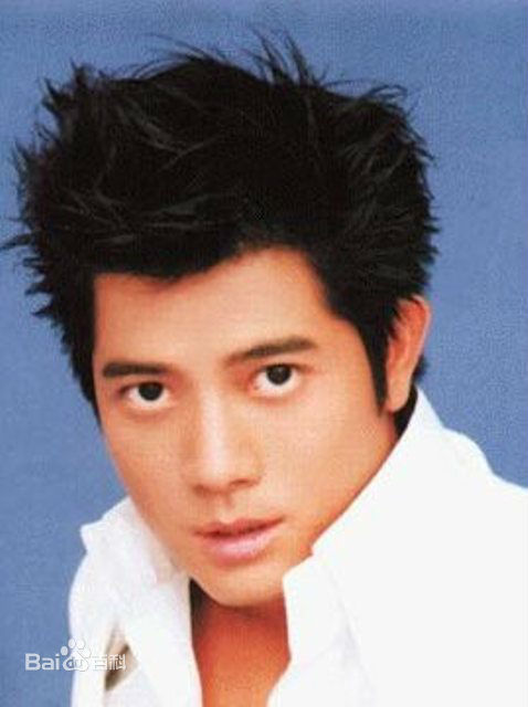 郭富城(Aaron Kwok)百变发型图片图册