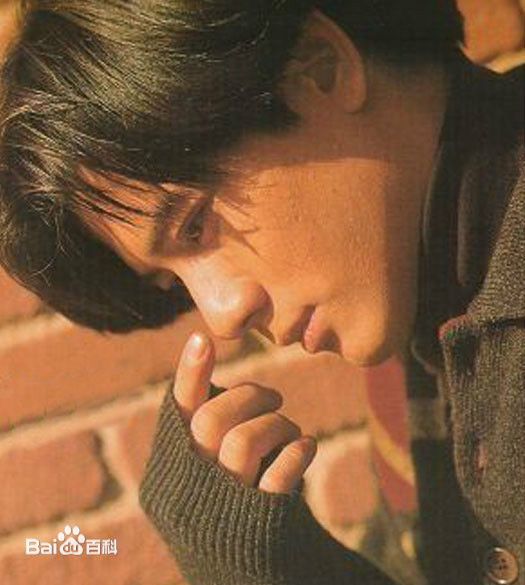 郭富城(Aaron Kwok)百变发型图片图册