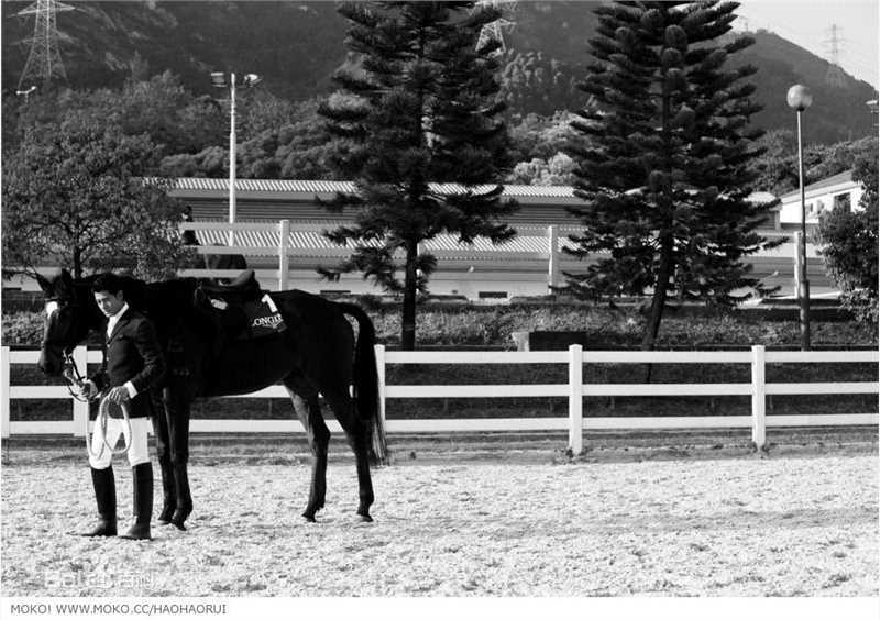 郭富城(Aaron Kwok)绅士风度生活照相册