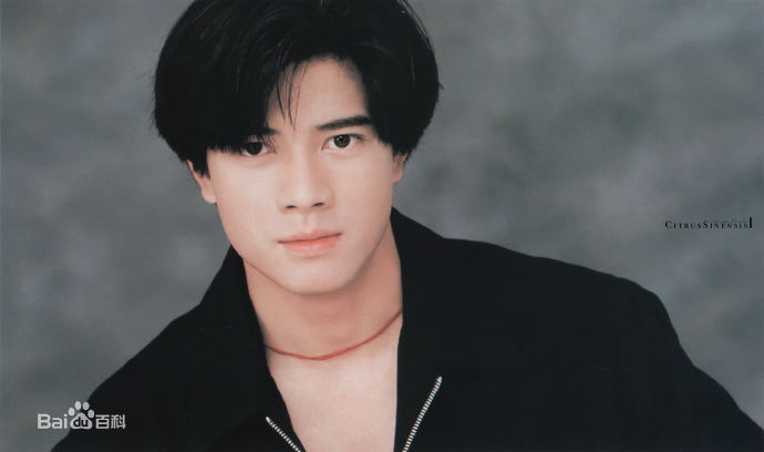 郭富城(Aaron Kwok)经典照片图片图册