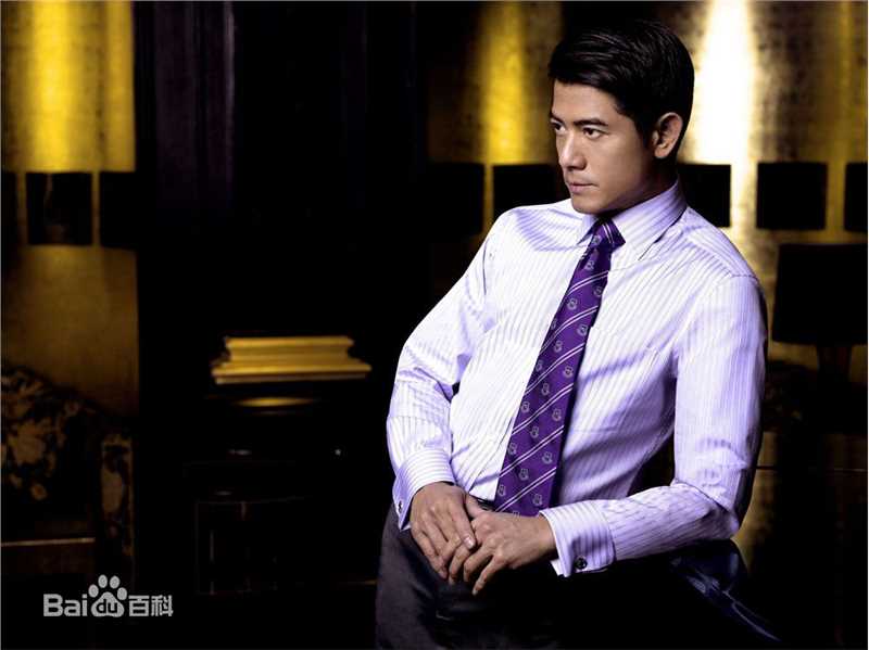 郭富城(Aaron Kwok)精彩图册