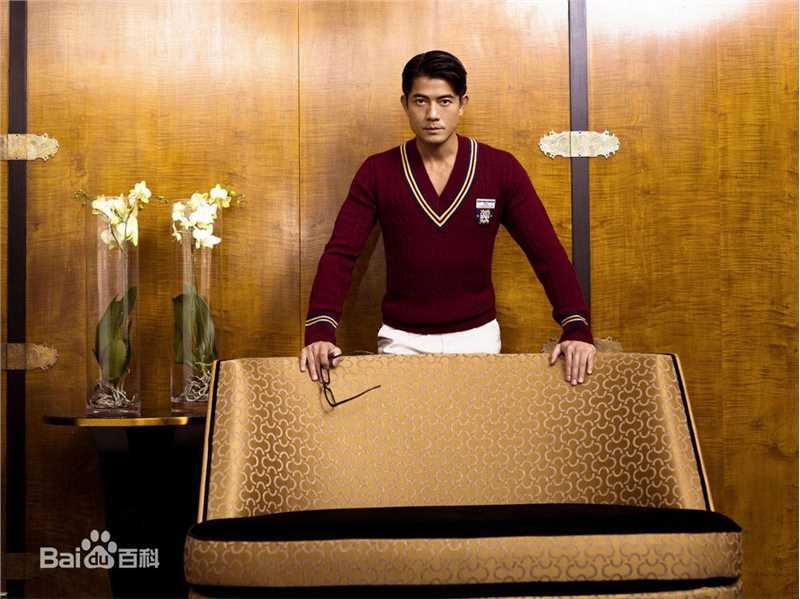 郭富城(Aaron Kwok)精彩图册