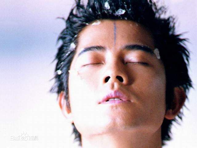 郭富城(Aaron Kwok)广告代言图册