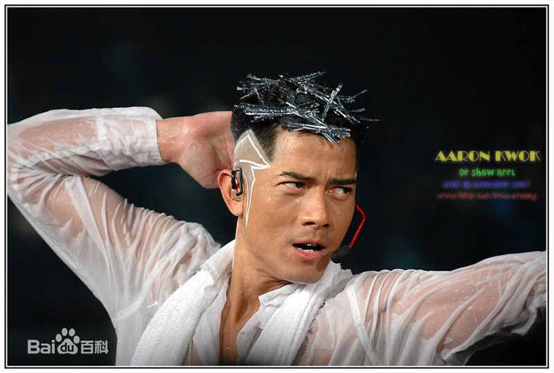 郭富城(Aaron Kwok)07舞林正传香港红馆演唱会图片图集