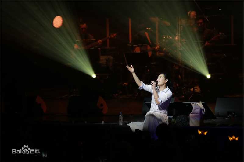 刘若英(Rene Liu)我敢演唱会现场图性感图片图集