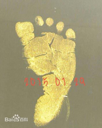 刘若英(Rene Liu)情感生活图册