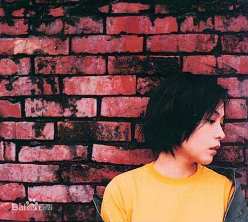 刘若英(Rene Liu)早年照片图册