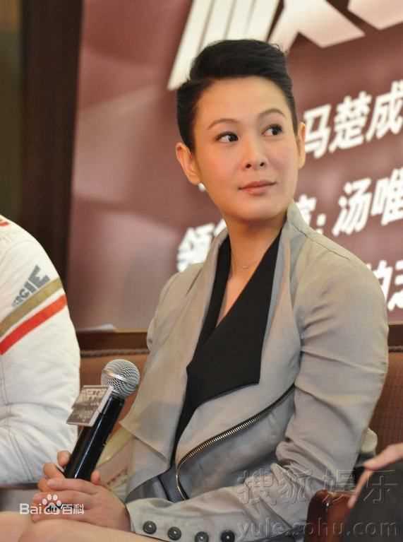 刘若英(Rene Liu)2010参加活动及演出图片集图片图册