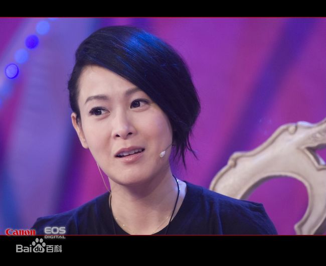 刘若英(Rene Liu)2010参加活动及演出图片集图片图册