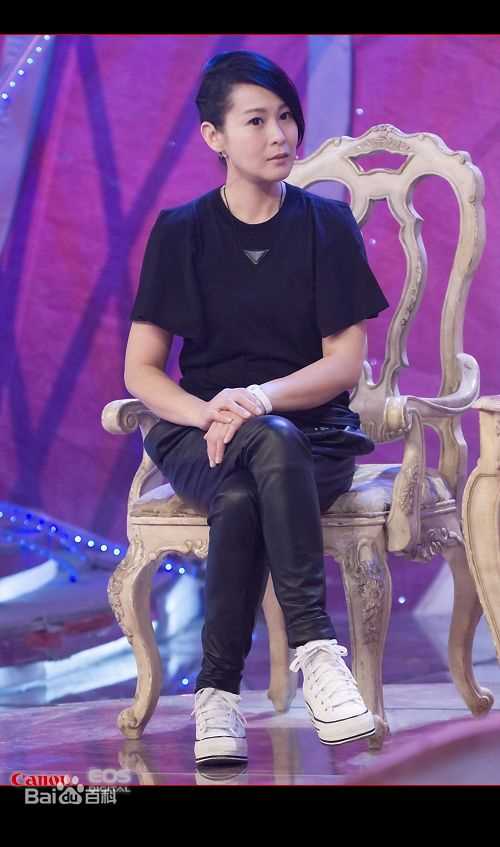 刘若英(Rene Liu)2010参加活动及演出图片集图片图册