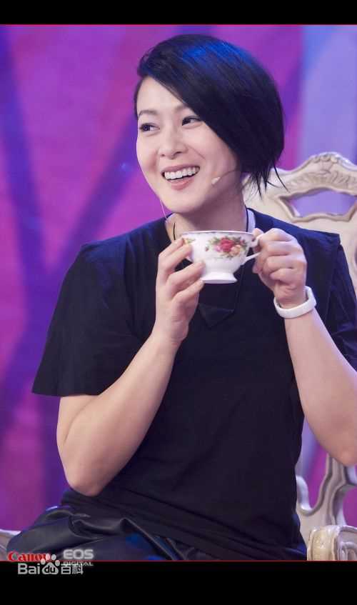 刘若英(Rene Liu)2010参加活动及演出图片集图片图册