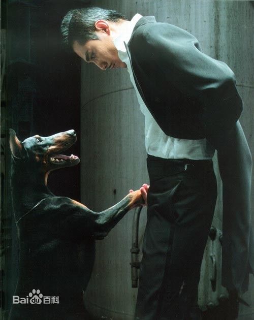 最优质刘烨(Liu Ye)精彩图册