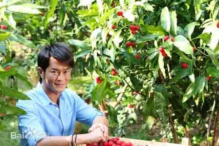 古天乐(Louis Koo、Tin Lok)部落格照片图片图集