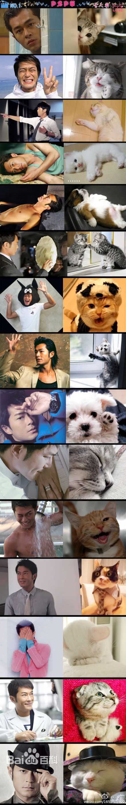 最新古天乐(Louis Koo、Tin Lok)精彩图册1