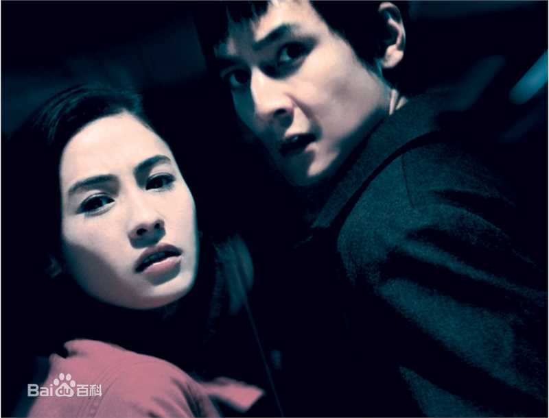 张柏芝(Cecilia Cheung)参演电影高清剧照