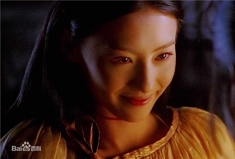 张柏芝(Cecilia Cheung)参演电影高清剧照