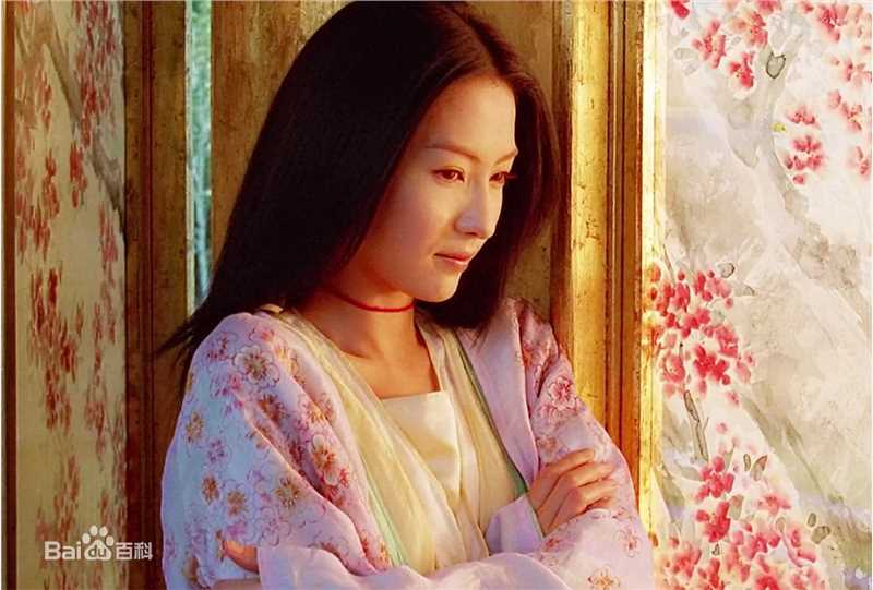 张柏芝(Cecilia Cheung)参演电影高清剧照