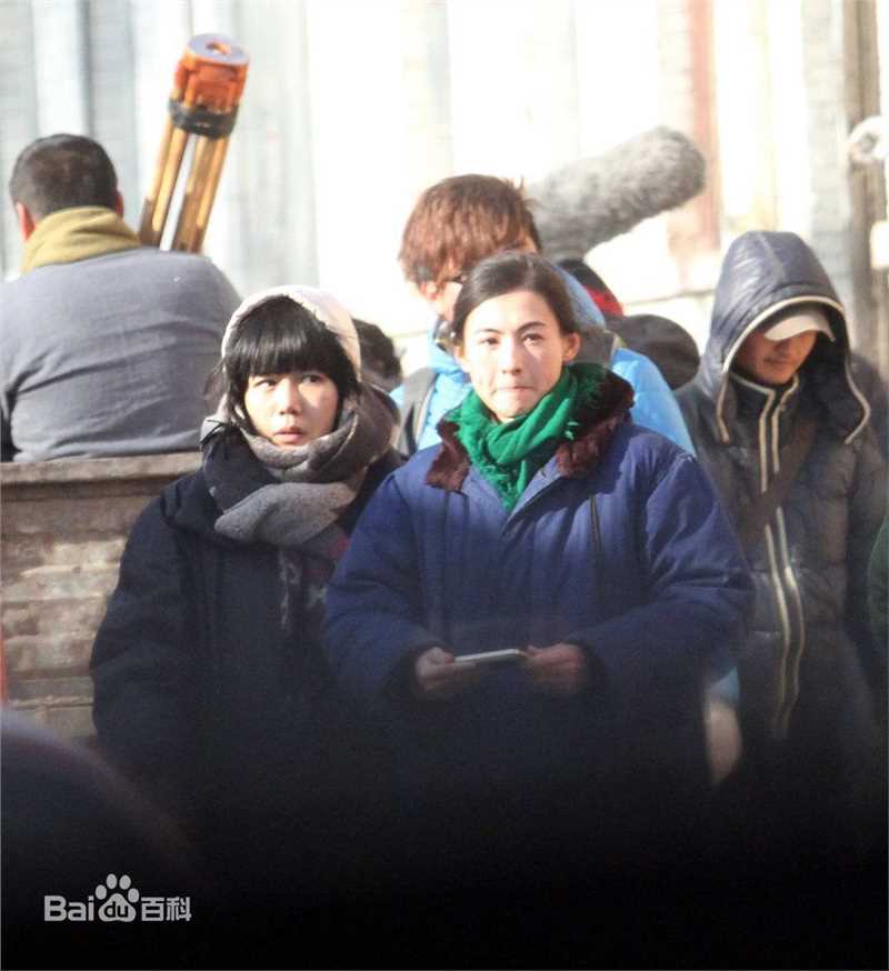 张柏芝(Cecilia Cheung)精彩图册