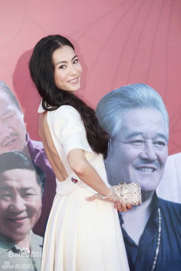 张柏芝(Cecilia Cheung)精彩图册