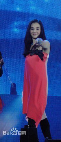 张柏芝(Cecilia Cheung)精彩图册