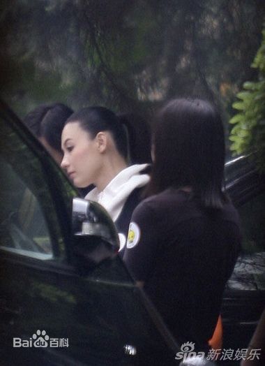 张柏芝(Cecilia Cheung)精彩图册